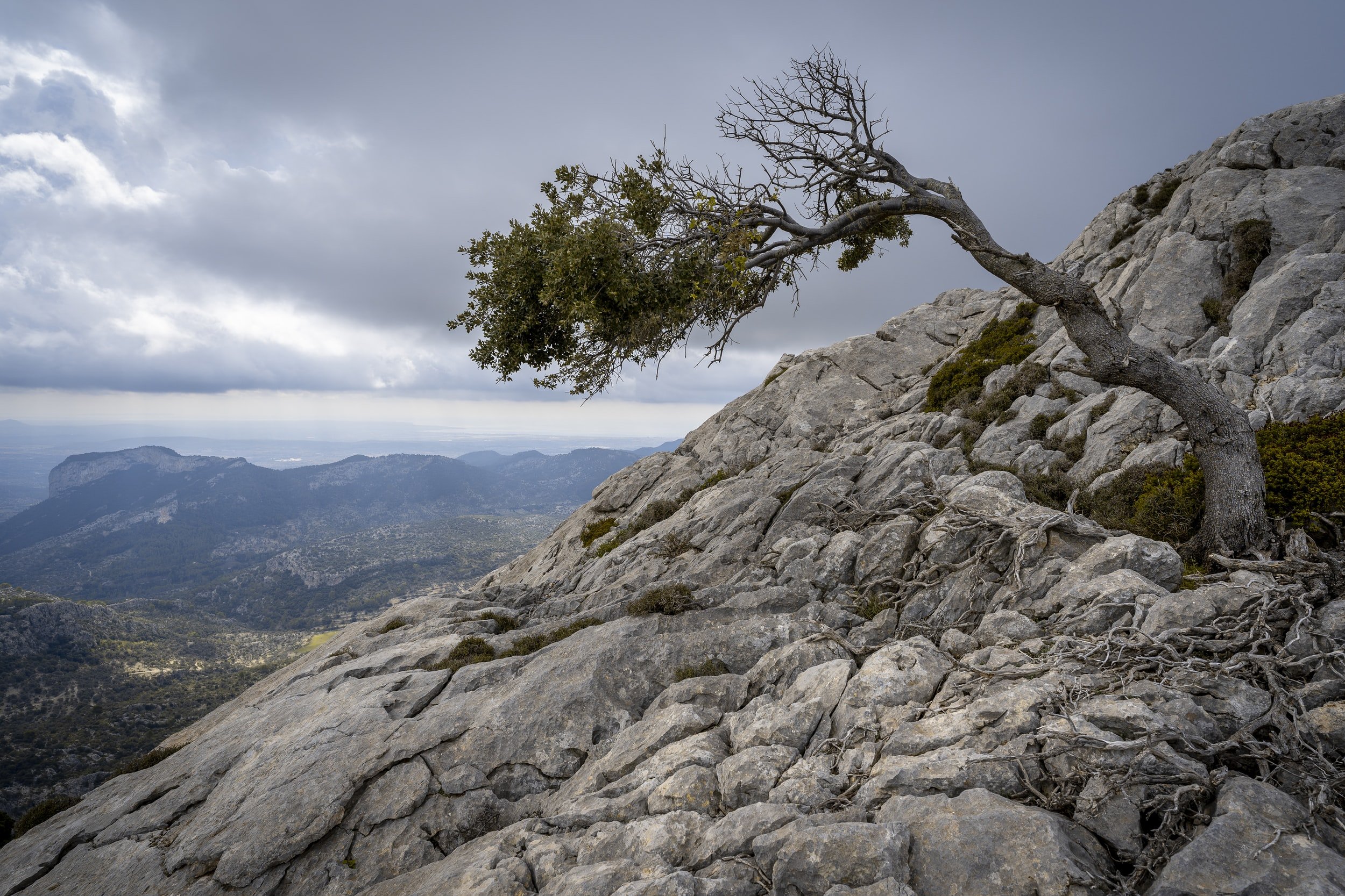 resilience